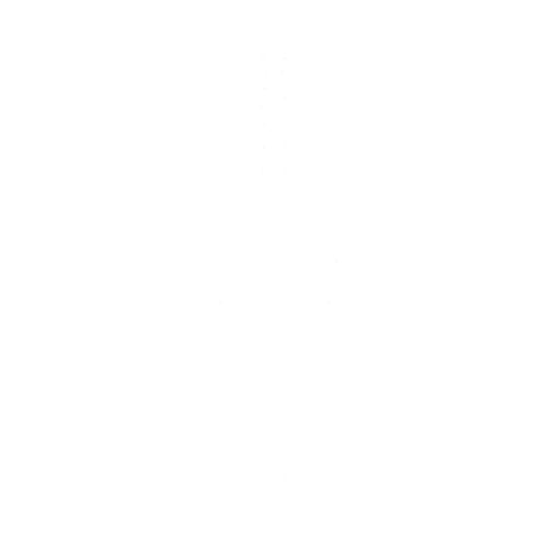 Violini 