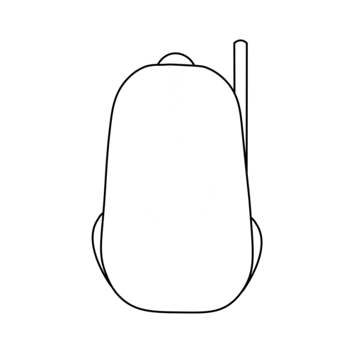 Violin backpack 